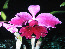 wpc63ca0b7_0f.jpg